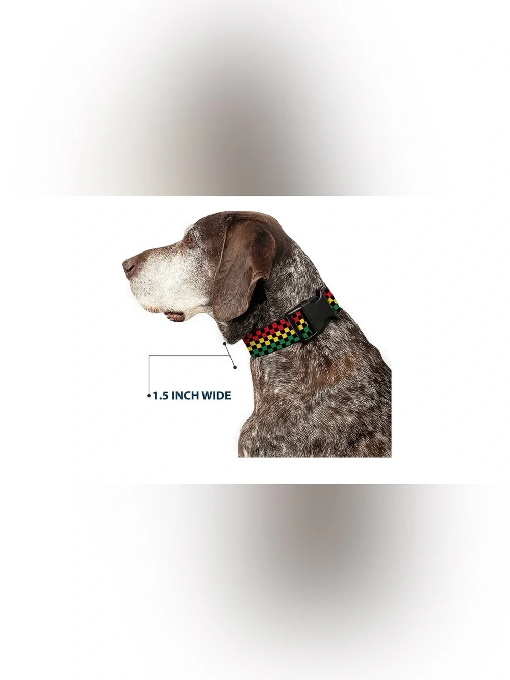 Buckle-Down Checker Rasta Dog Collar Size Small NEW